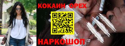 МДПВ Бийск
