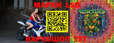 МДПВ Бийск