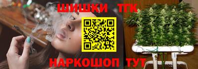 МДПВ Бийск