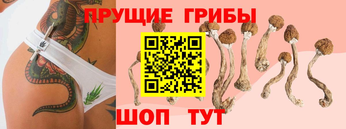 Галлюциногенные грибы Cubensis  Вход с VPN  Зима 